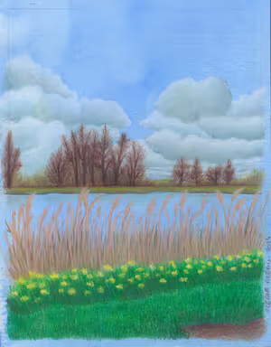 Paysage Nord_35_site.jpg
