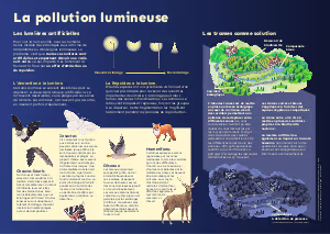 POLLUTION LUMINEUSE.pdf