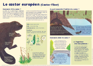 CASTOR.pdf