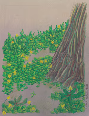 Paysage Nord_36_site.jpg