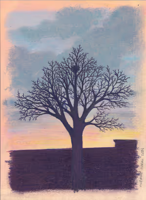 Paysage Nord_28_site.jpg