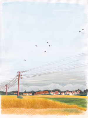 Paysage Nord_1_site.jpg