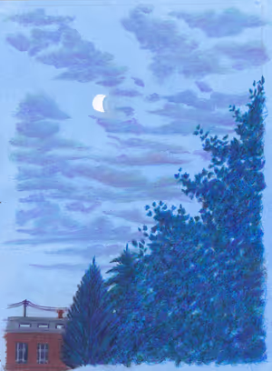 Paysage Nord_39_site.jpg