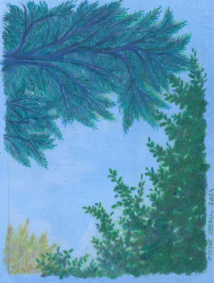 Paysage Nord_44_site.jpg