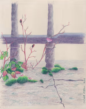 Paysage Nord_48_site.jpg