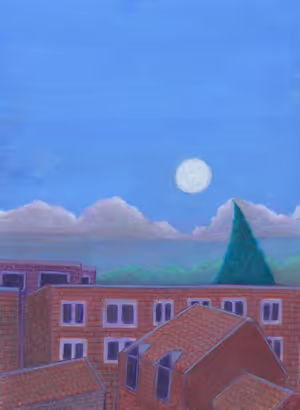 Paysage Nord_40_site.jpg